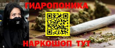 ГАЛЛЮЦИНОГЕННЫЕ ГРИБЫ Свободный