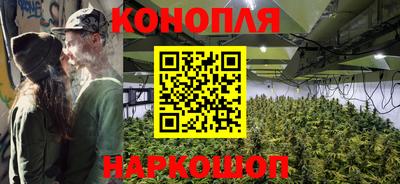 ГАЛЛЮЦИНОГЕННЫЕ ГРИБЫ Свободный
