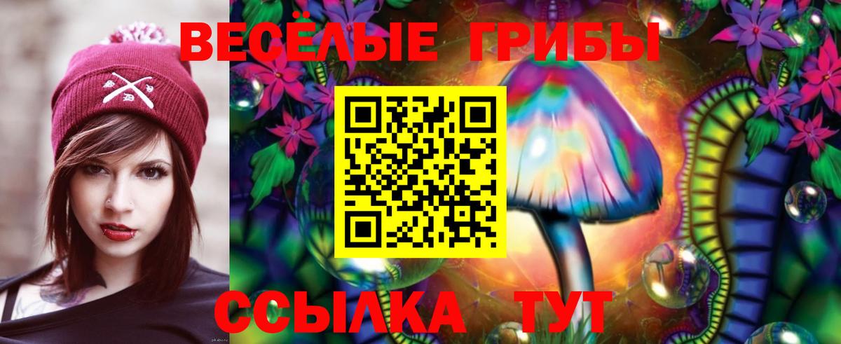 Псилоцибиновые грибы Magic Shrooms  цены наркотик  Богданович  Вход с VPN 